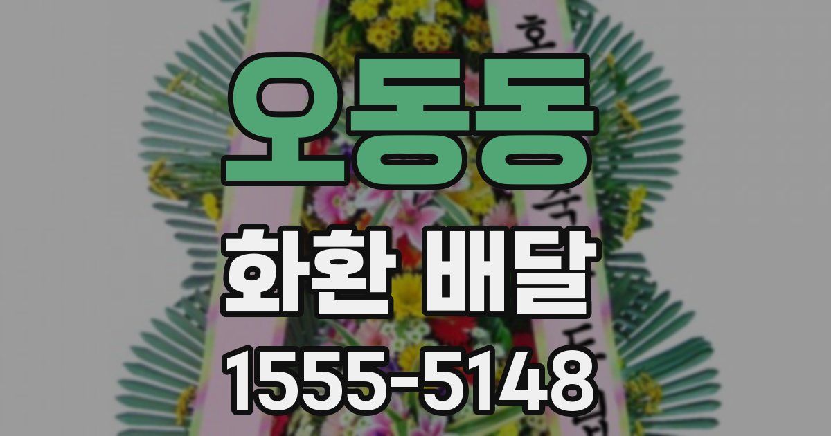 오동동 화환 배달