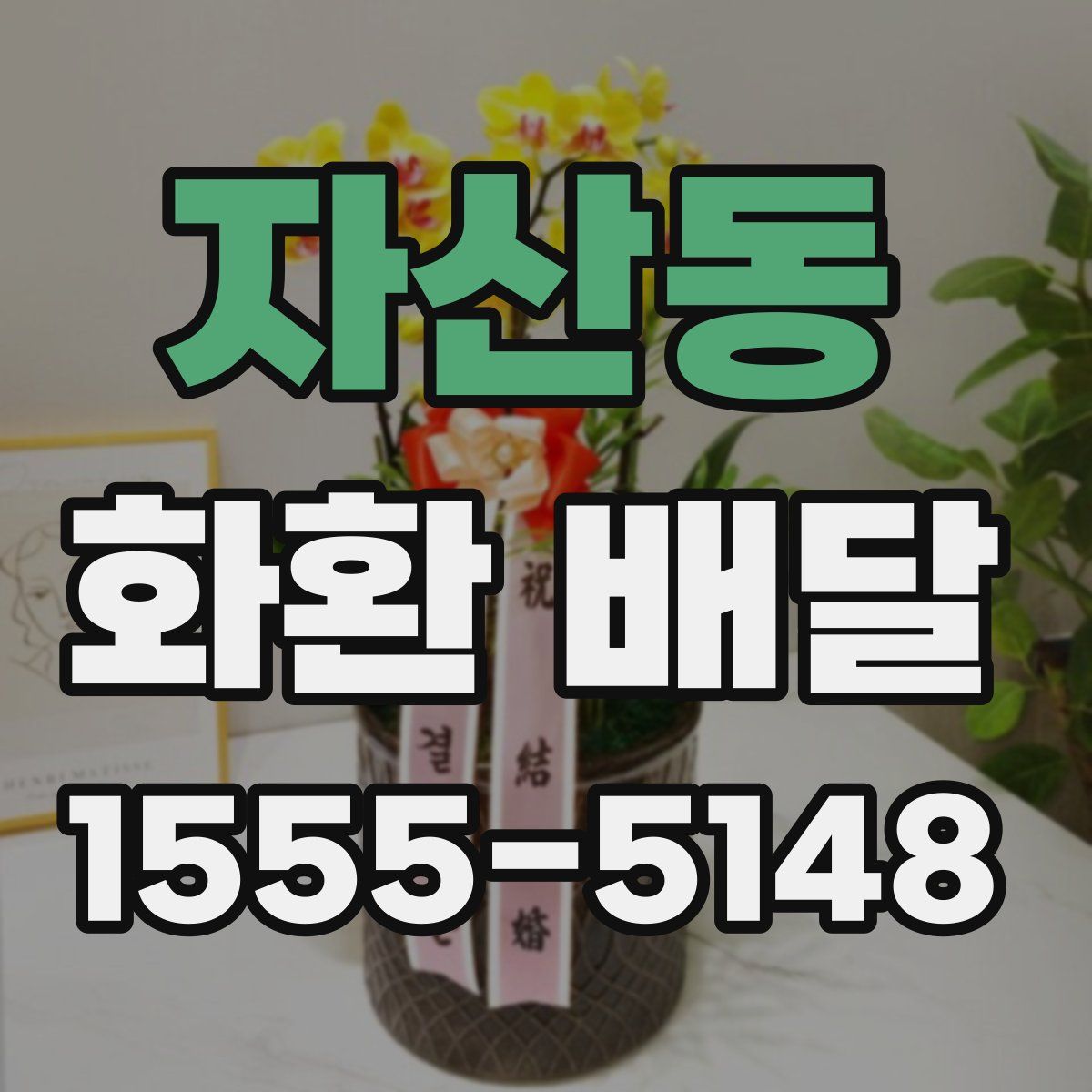 자산동 화환 배달