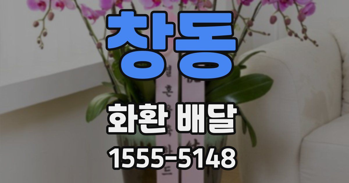 창동 화환 배달