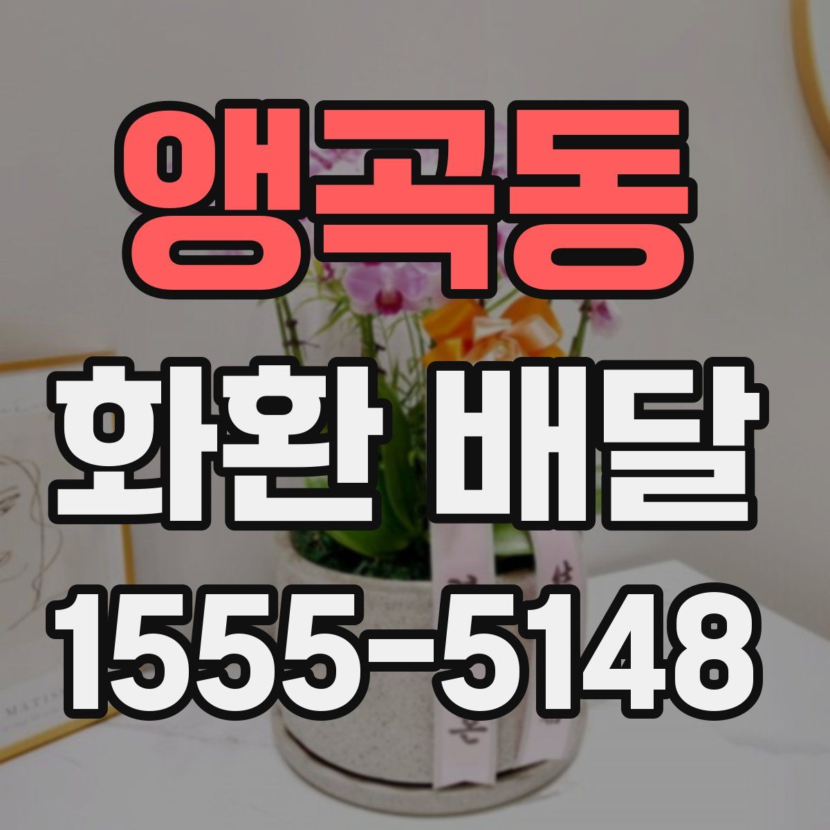 앵곡동 화환 배달