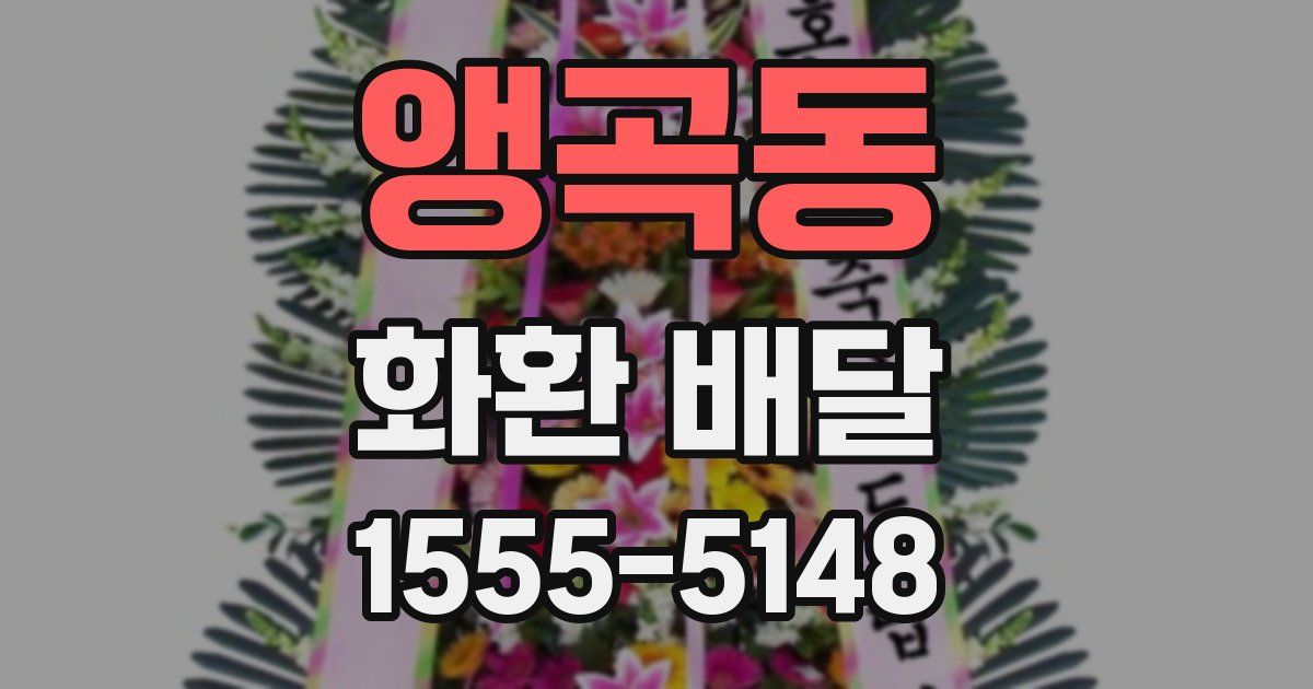 앵곡동 화환 배달