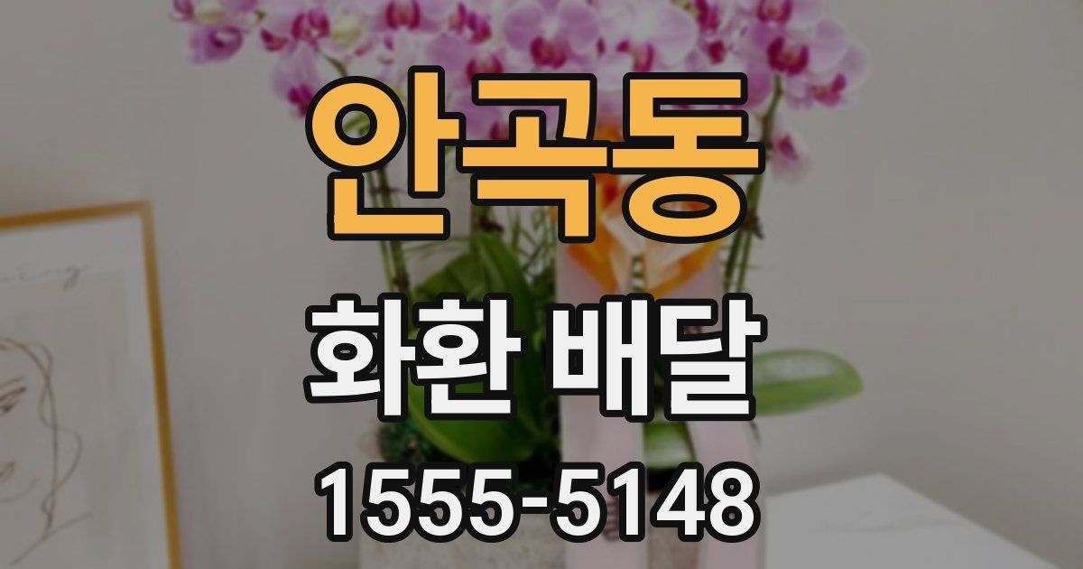 안곡동 화환 배달