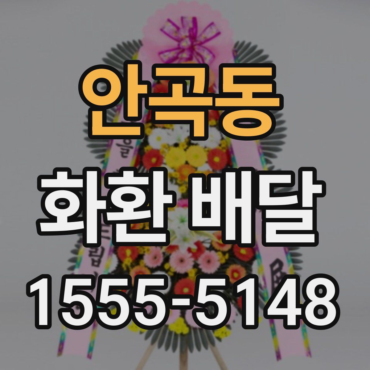안곡동 화환 배달