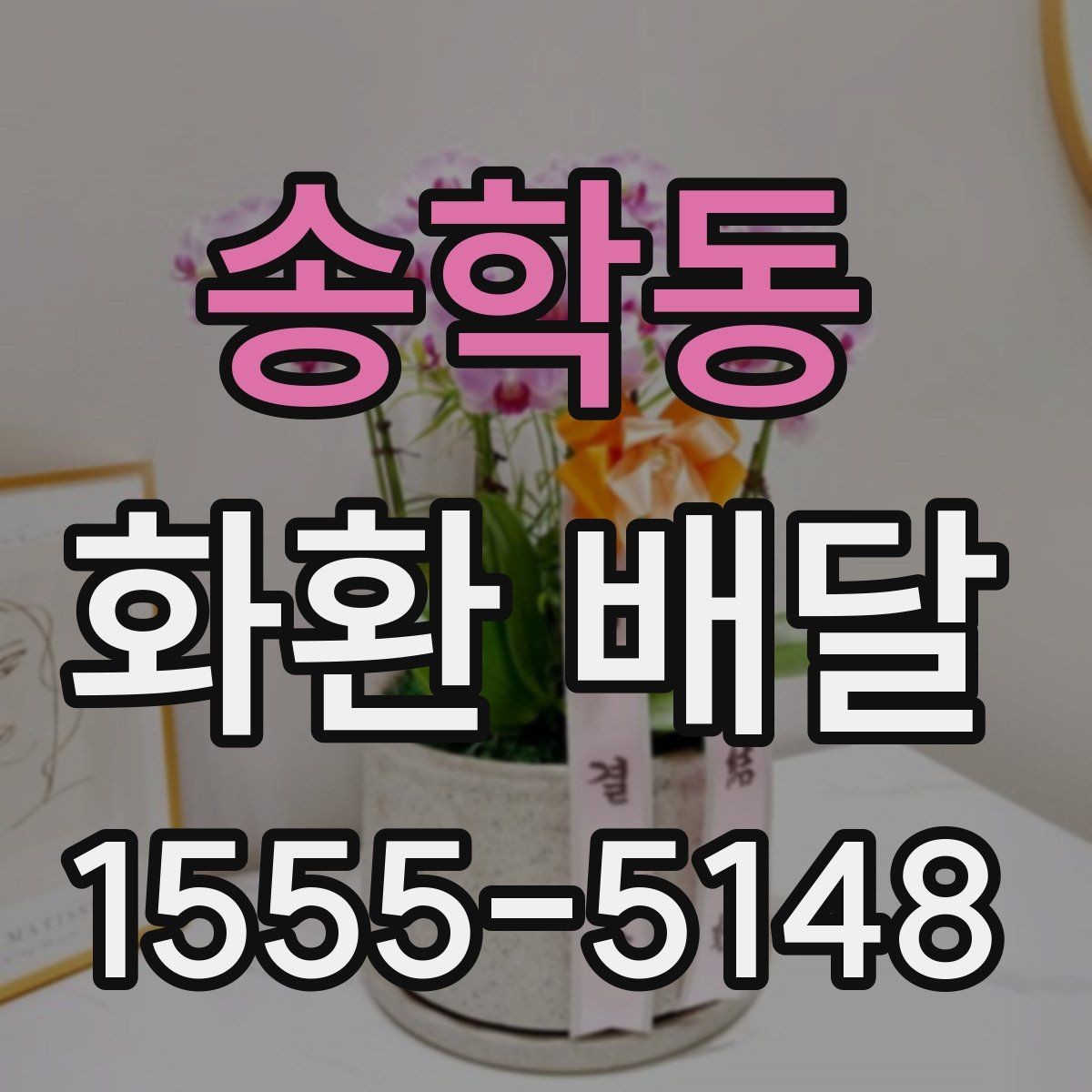 송학동 화환 배달 선택 전 후기보다 먼저 볼 것