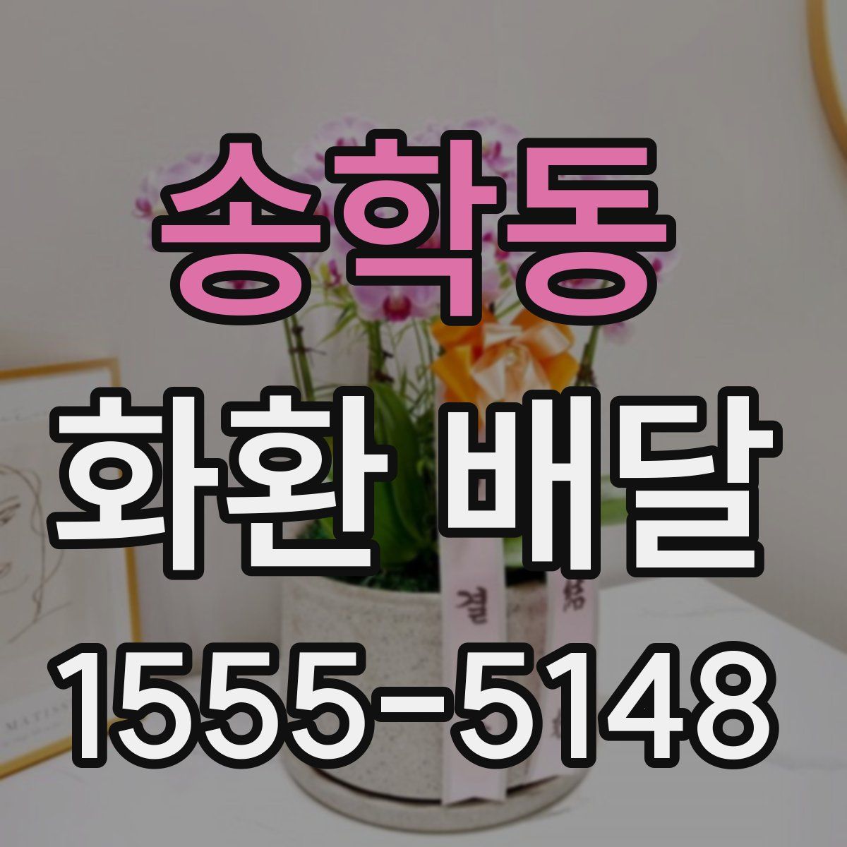 송학동 화환 배달