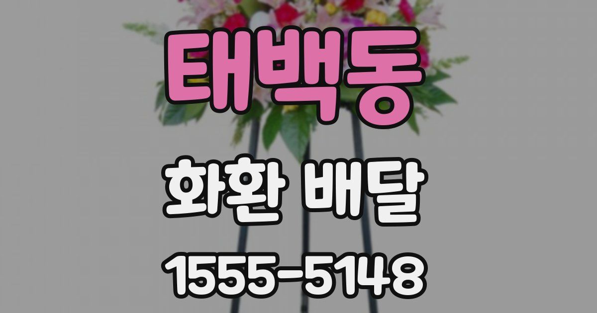 태백동 화환 배달