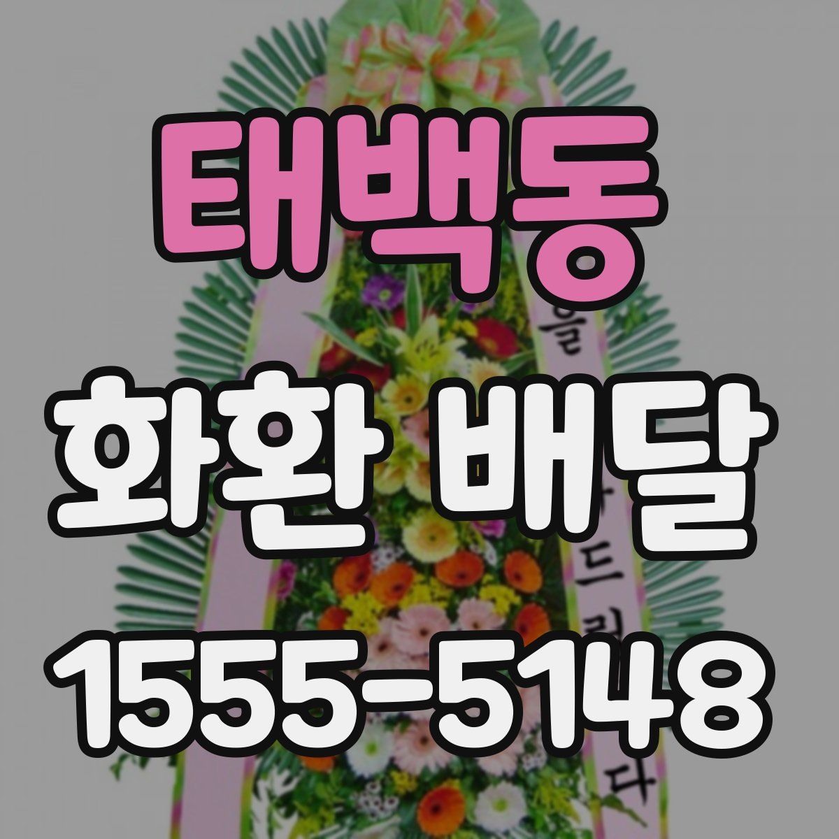 태백동 화환 배달