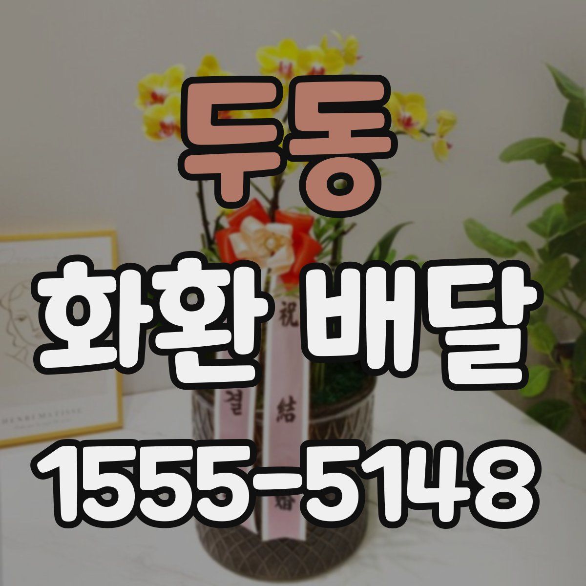 두동 화환 배달