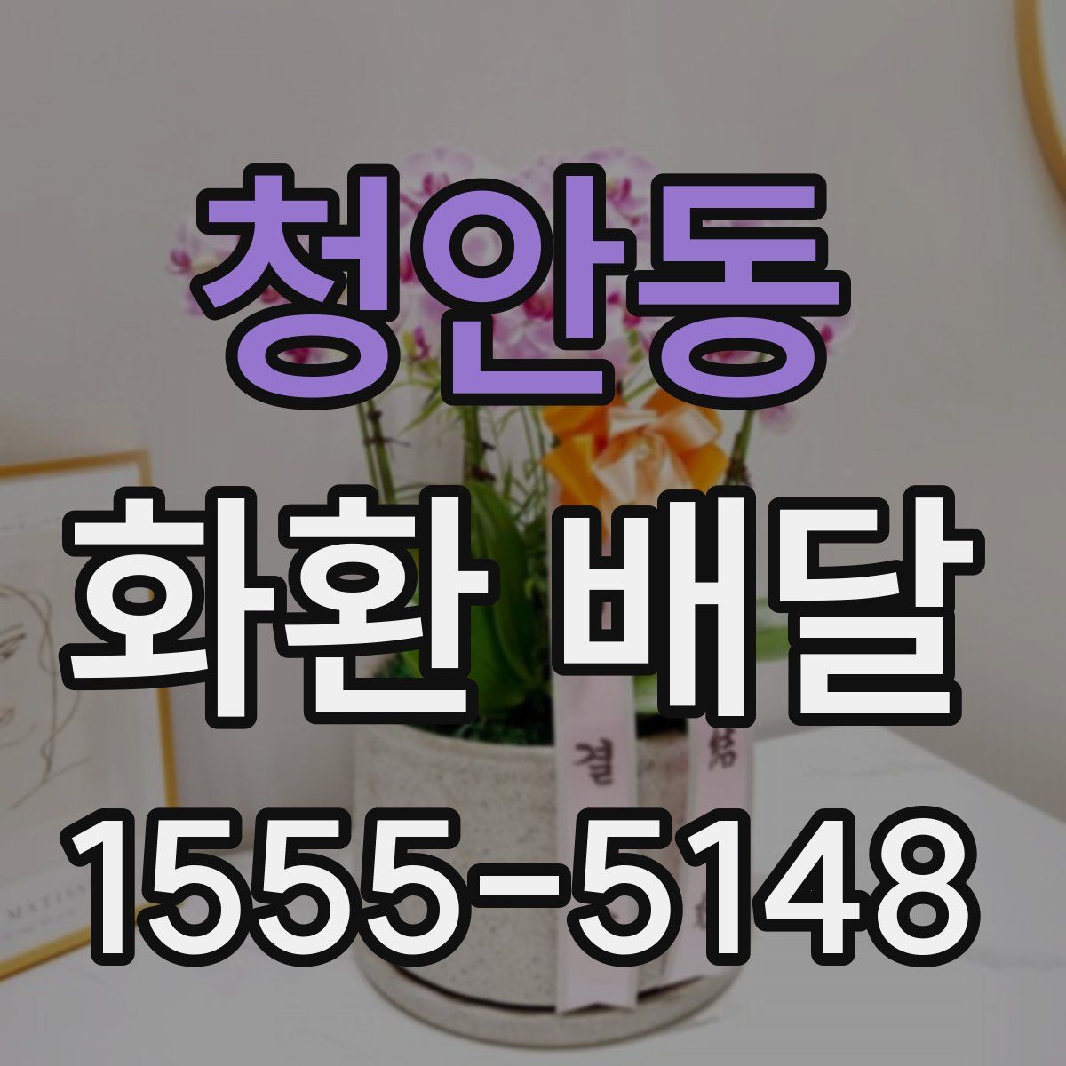 청안동 화환 배달