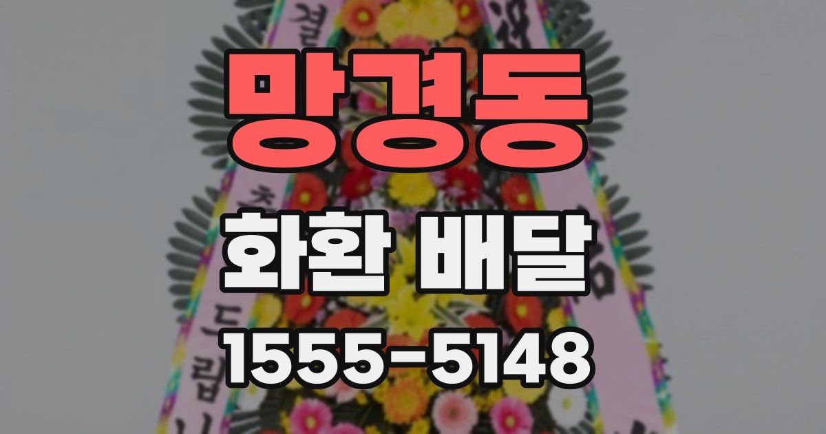 망경동 화환 배달