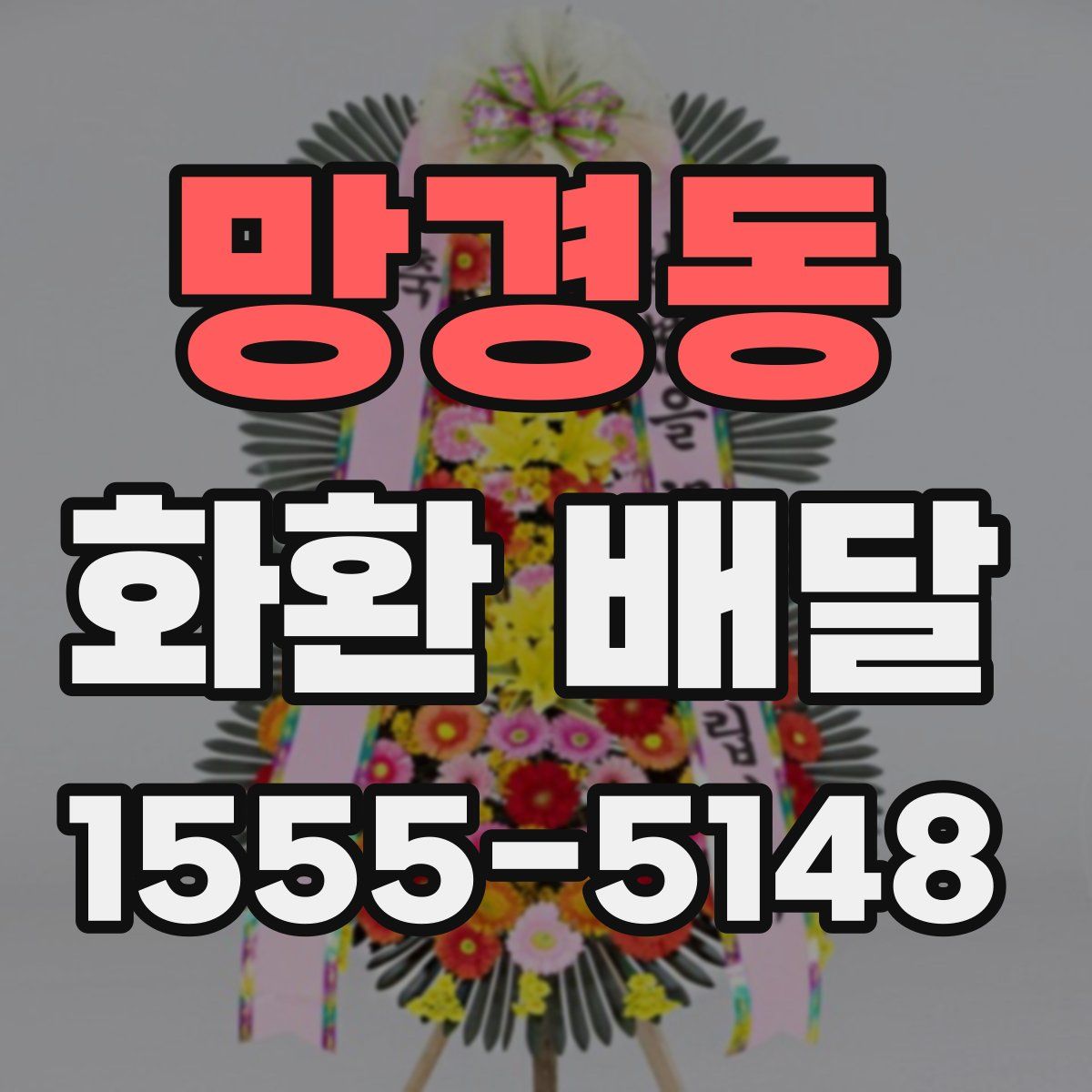 망경동 화환 배달