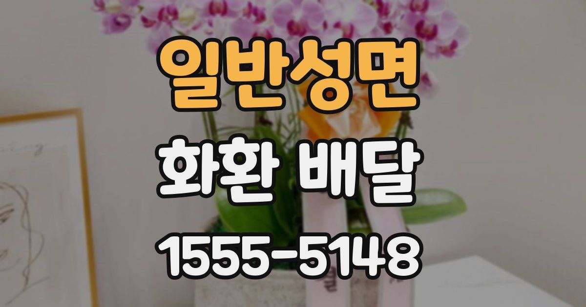 일반성면 화환 배달