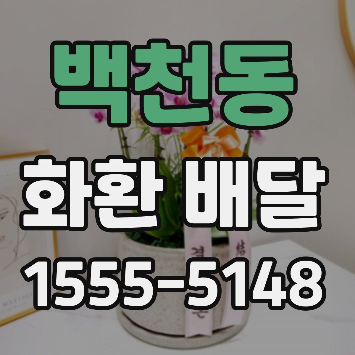 백천동 화환 배달