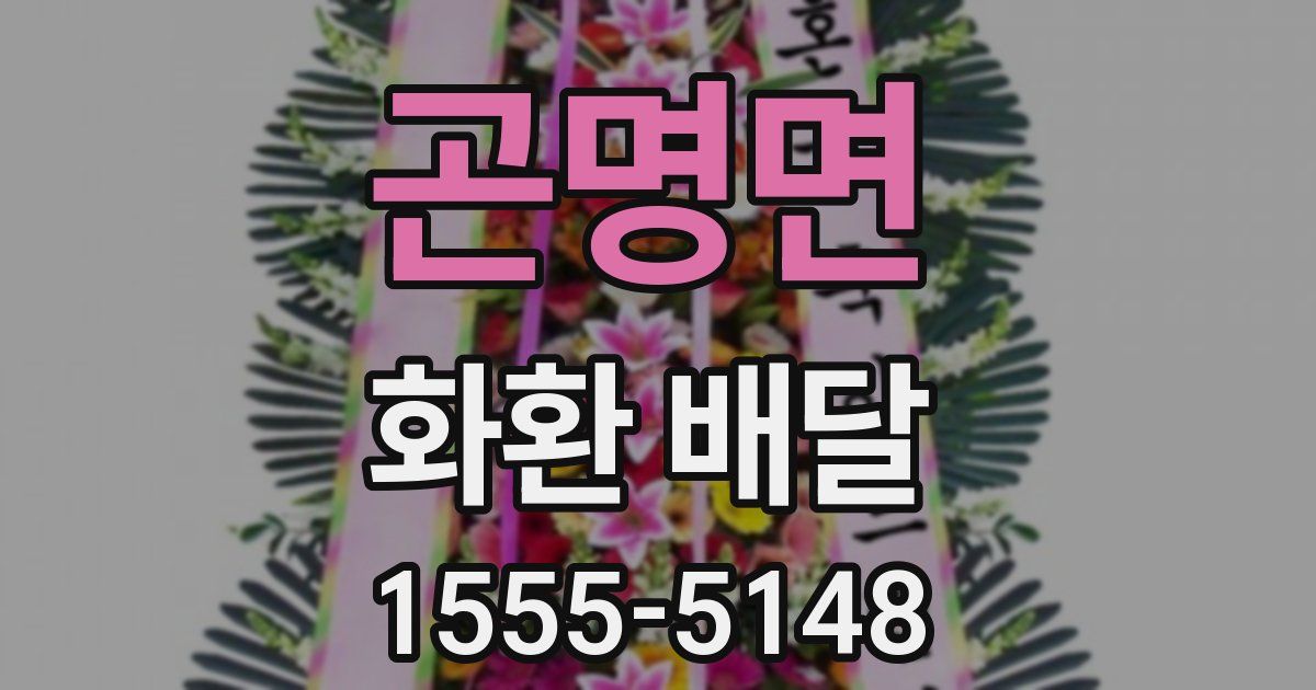 곤명면 화환 배달