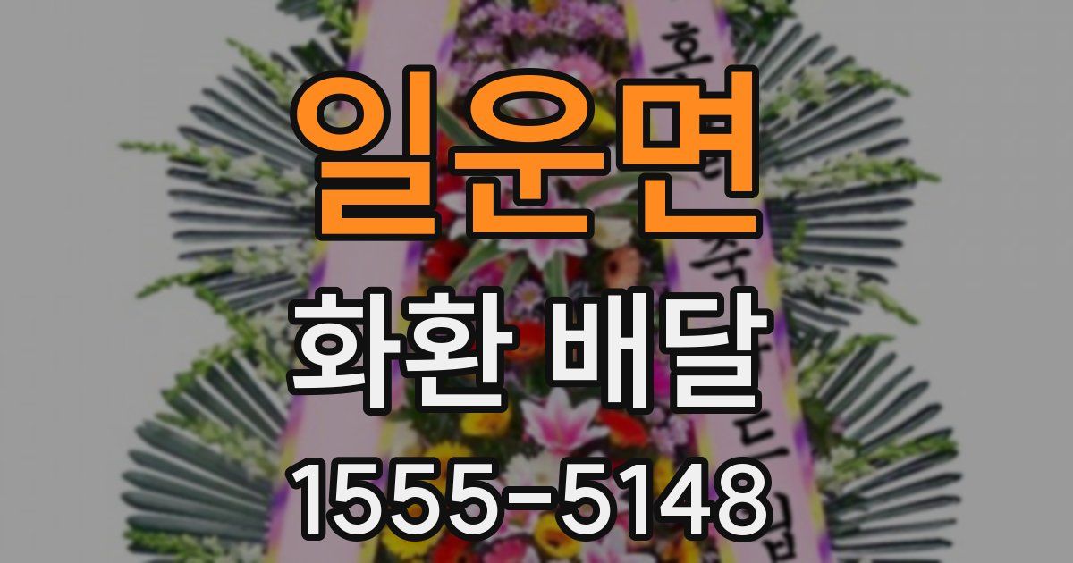 일운면 화환 배달