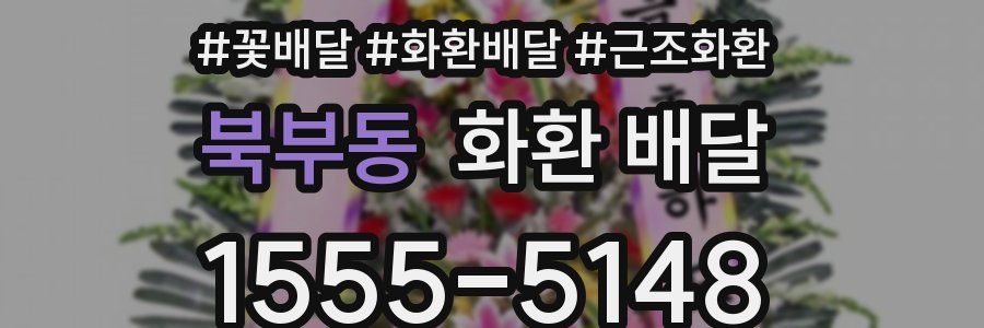 북부동 화환 배달
