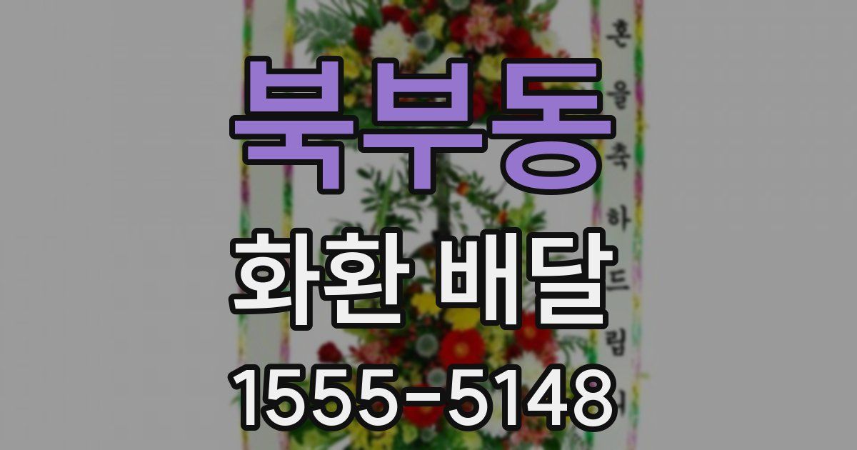 북부동 화환 배달
