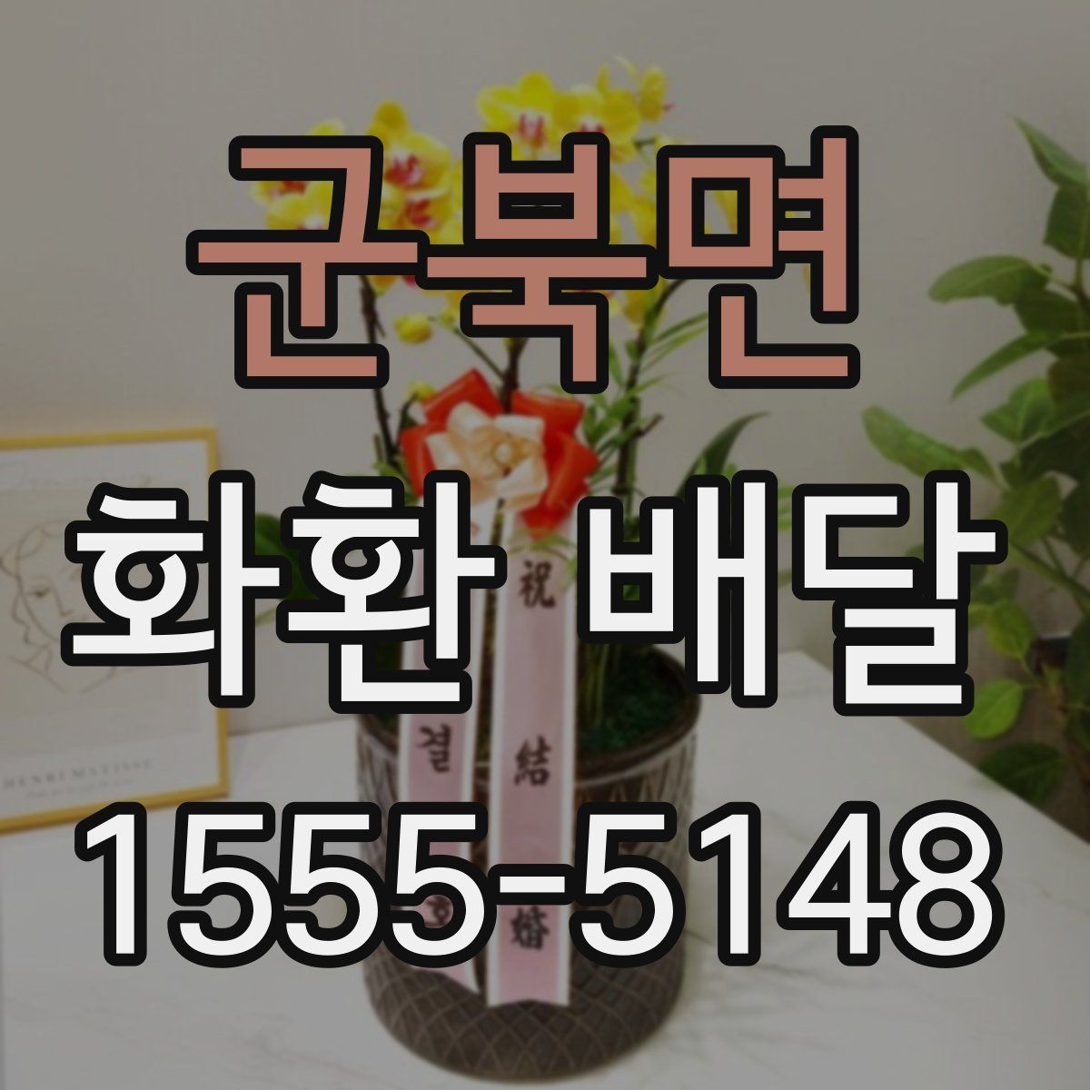 군북면 화환 배달