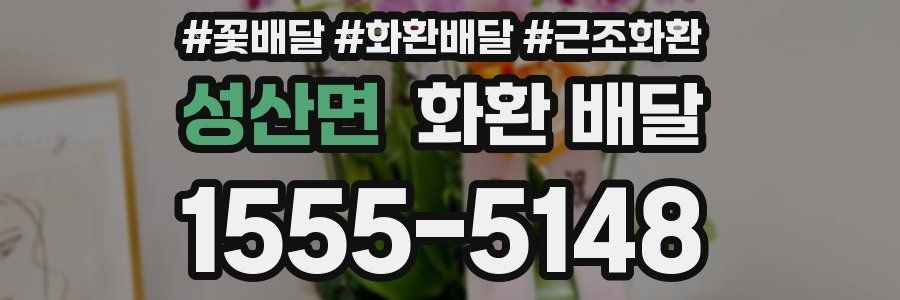 성산면 화환 배달