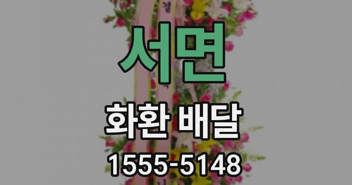 서면 화환 배달
