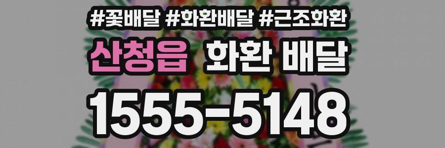 산청읍 화환 배달