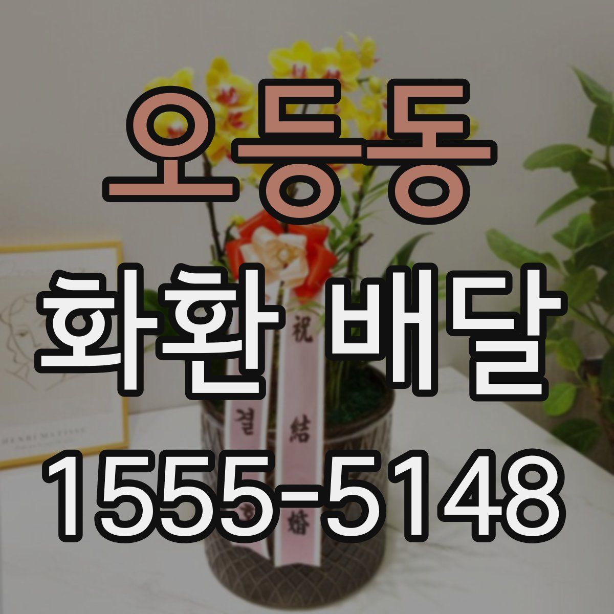 오등동 화환 배달