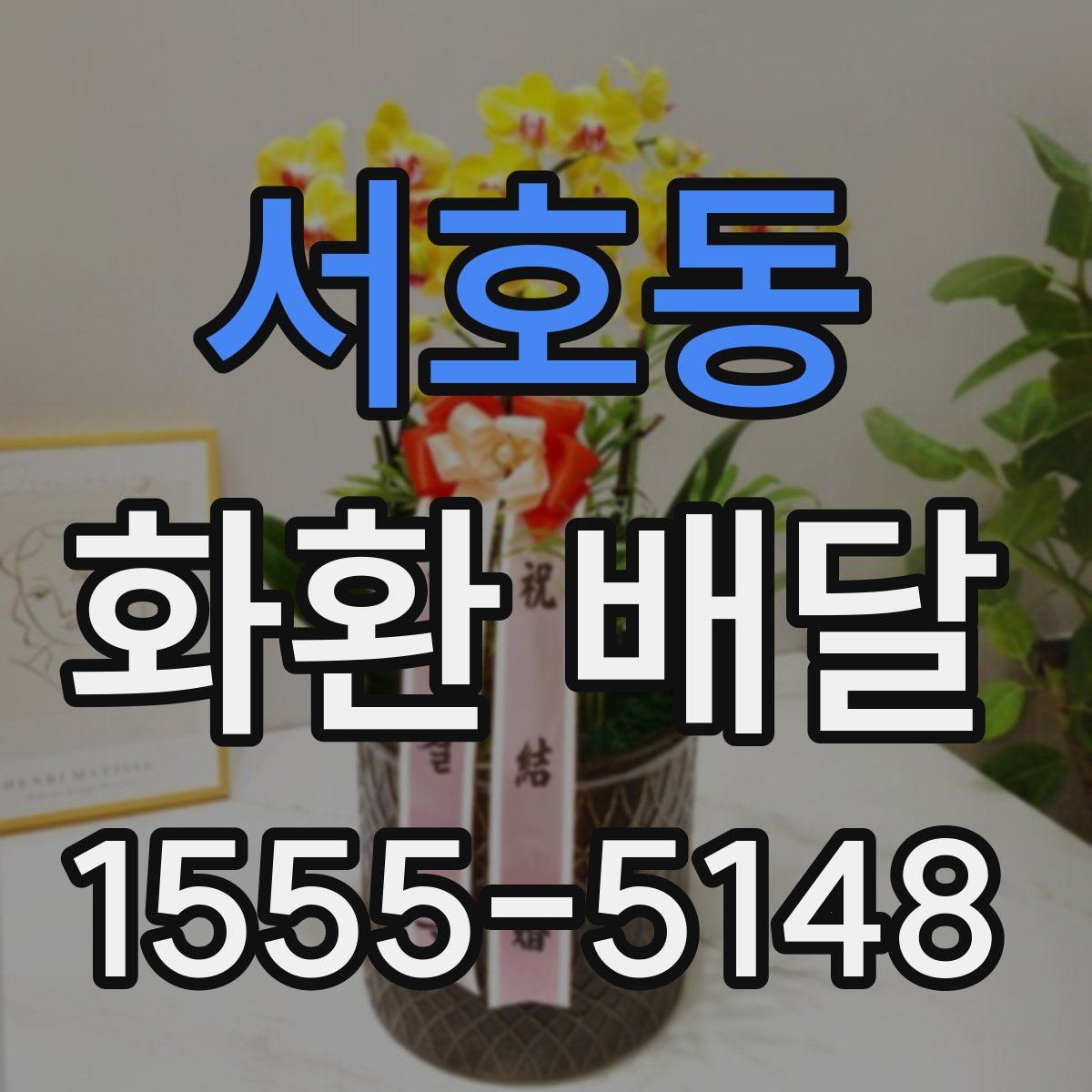 서호동 화환 배달
