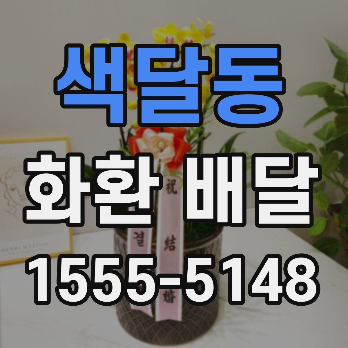 색달동 화환 배달