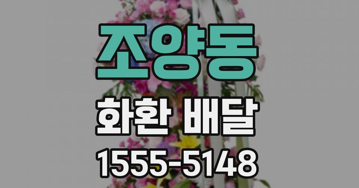 조양동 화환 배달