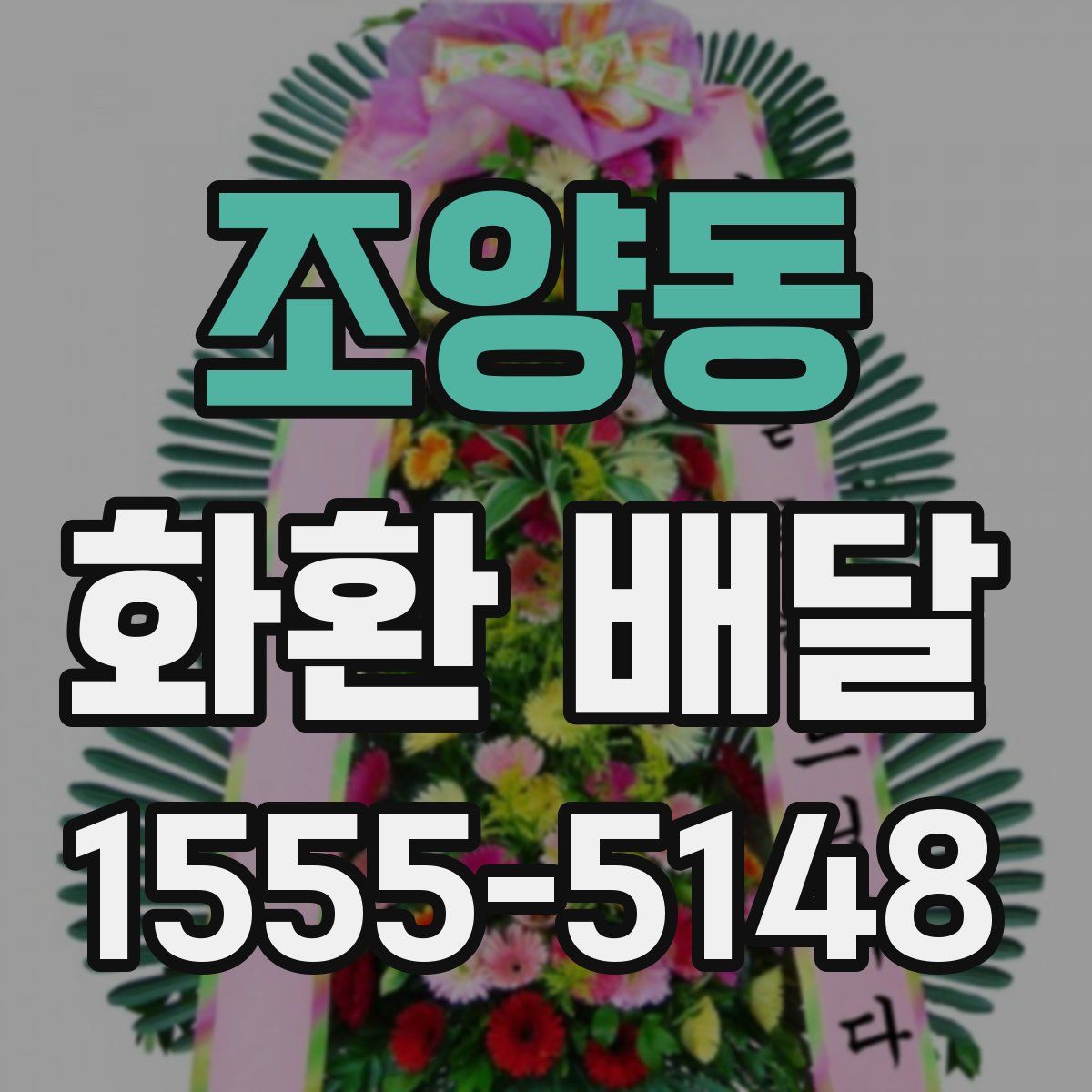 조양동 화환 배달