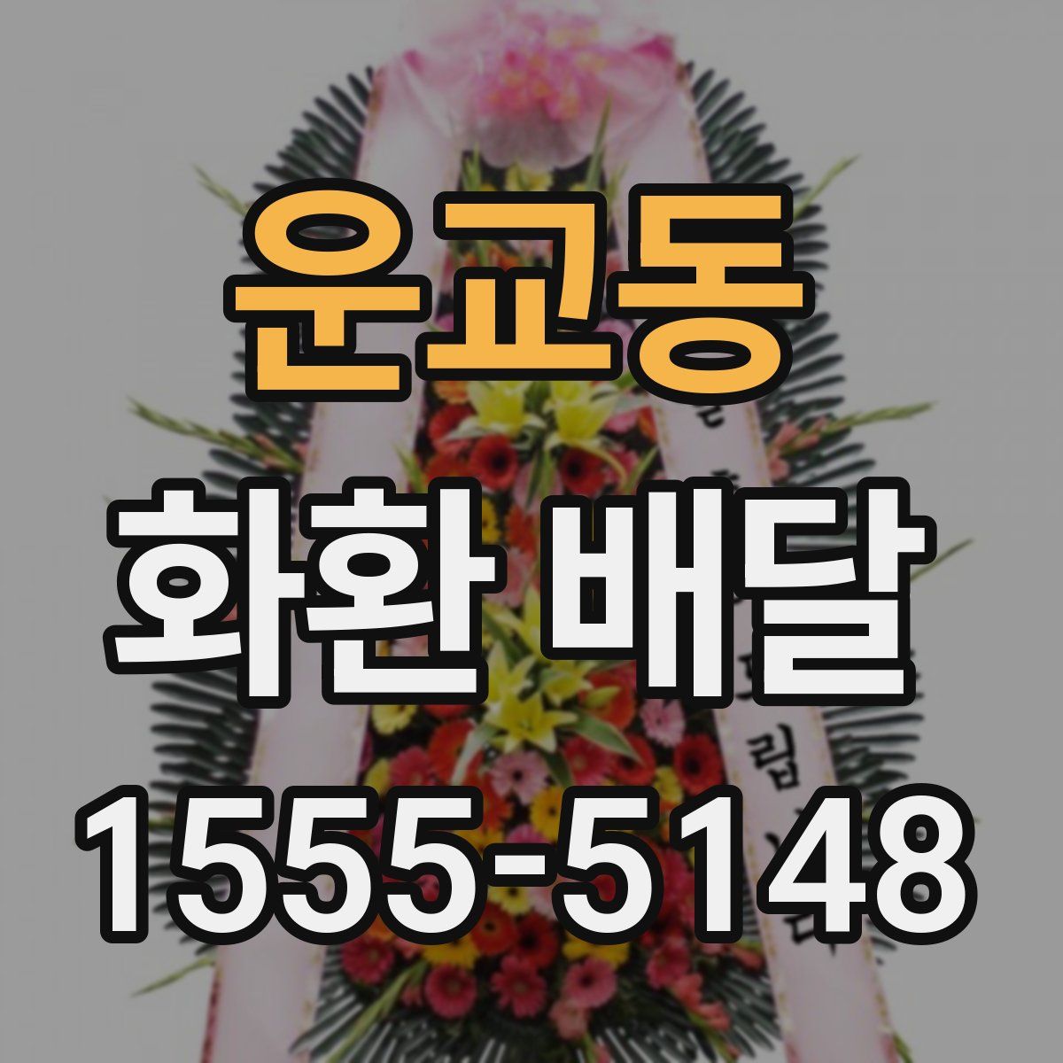 운교동 화환 배달