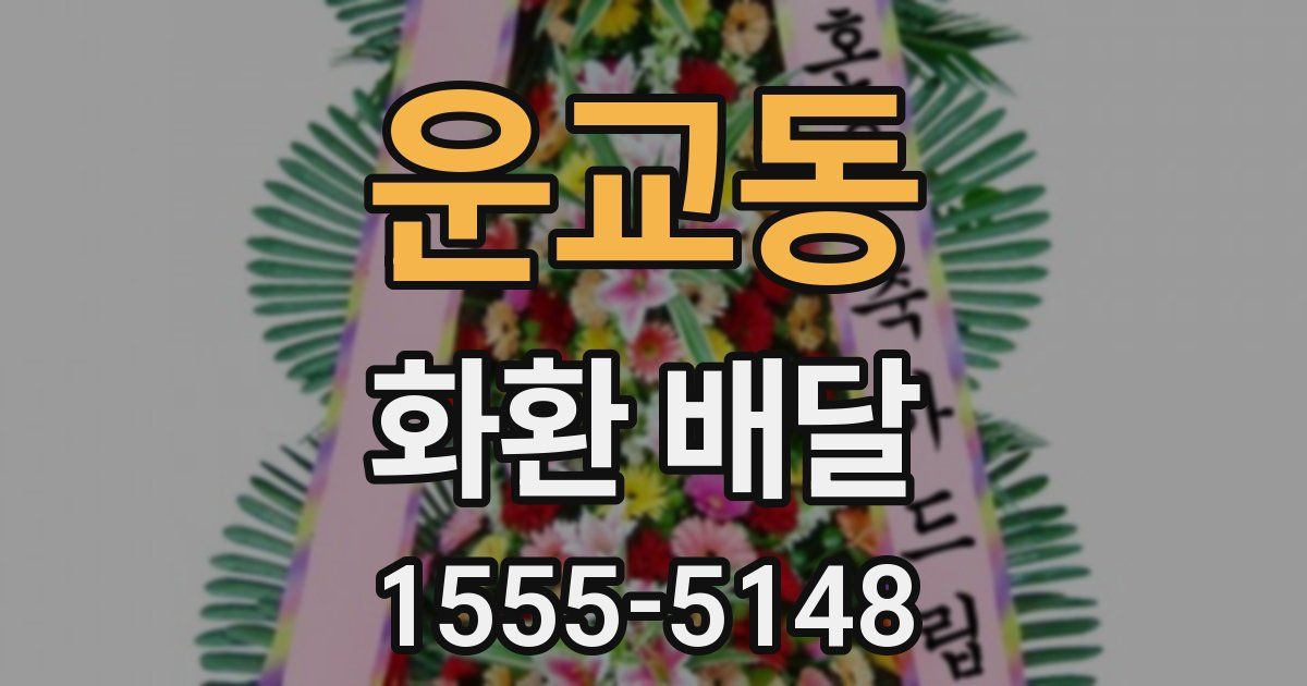 운교동 화환 배달