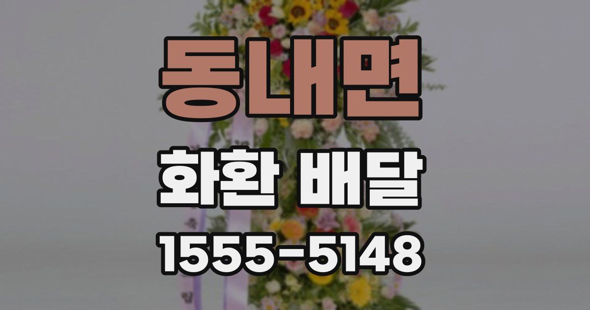 동내면 화환 배달
