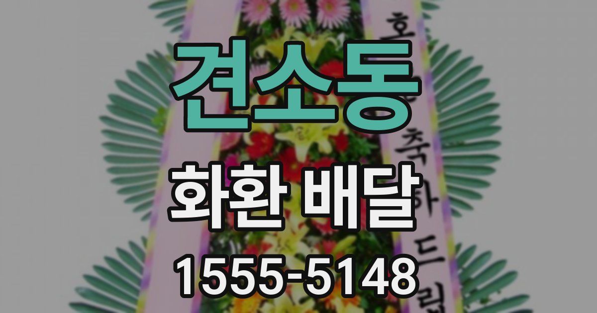 견소동 화환 배달