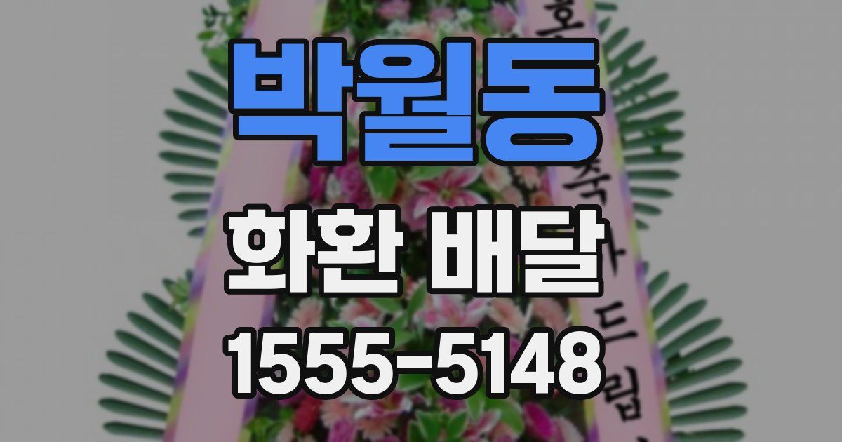 박월동 화환 배달
