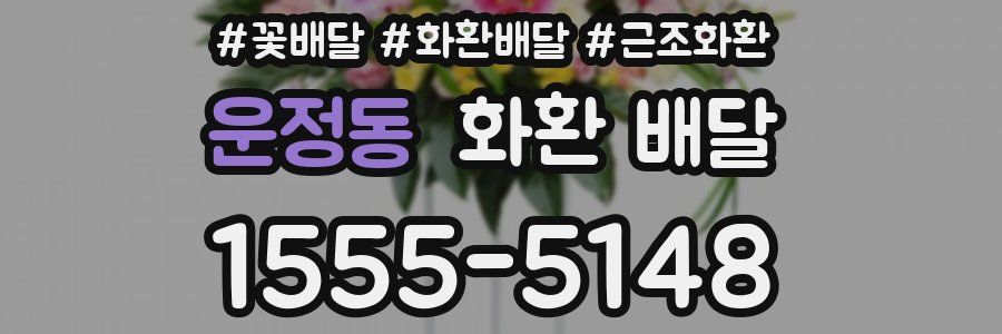 운정동 화환 배달