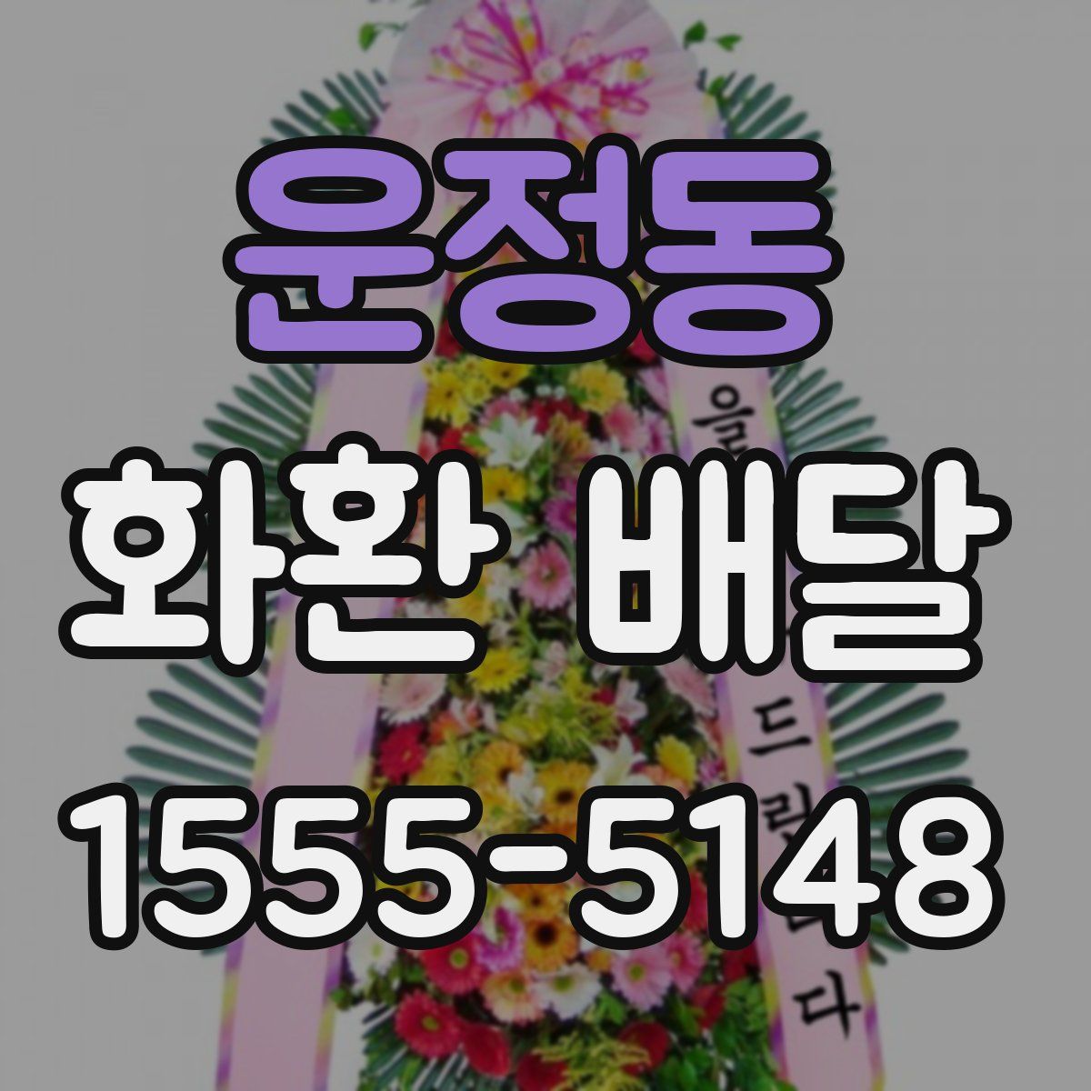 운정동 화환 배달