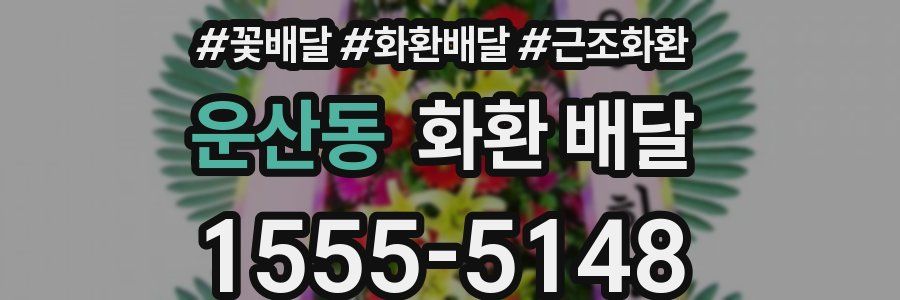운산동 화환 배달