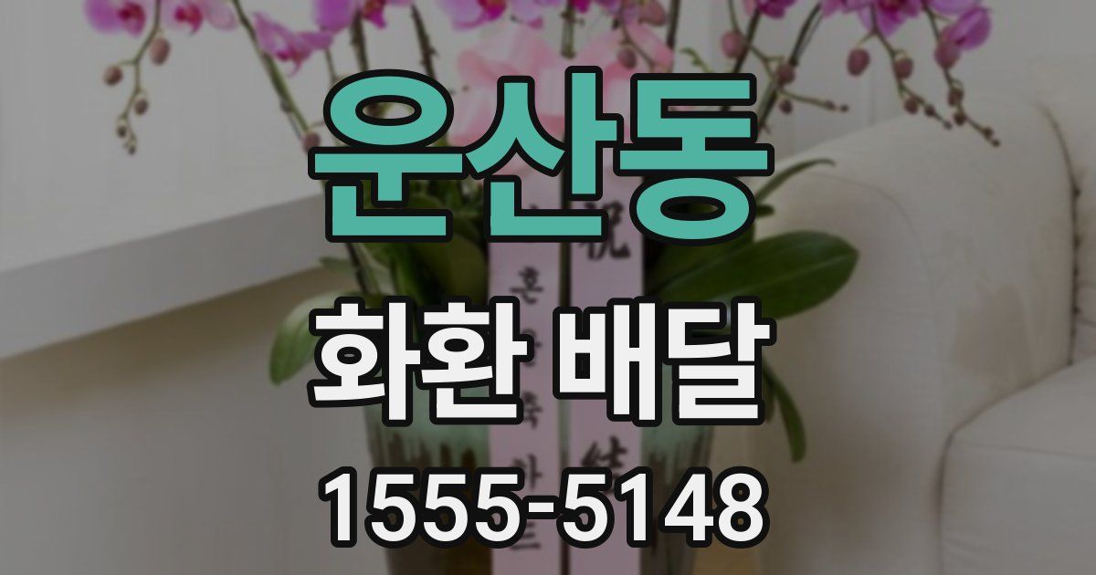 운산동 화환 배달