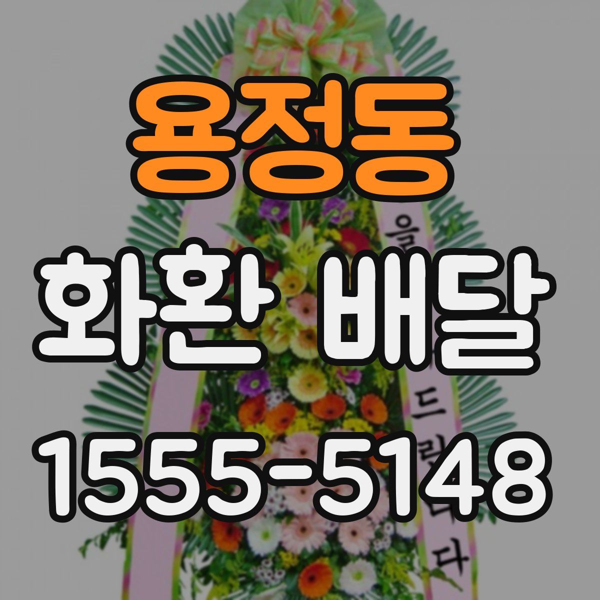 용정동 화환 배달