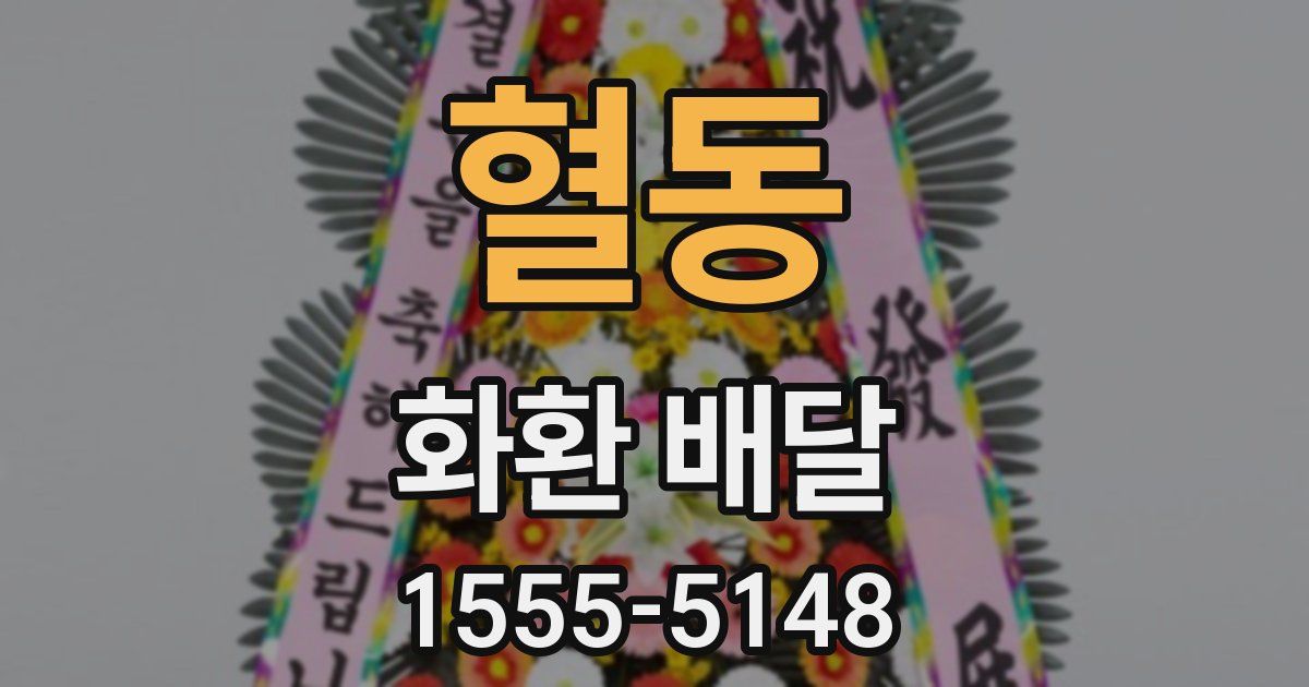 혈동 화환 배달