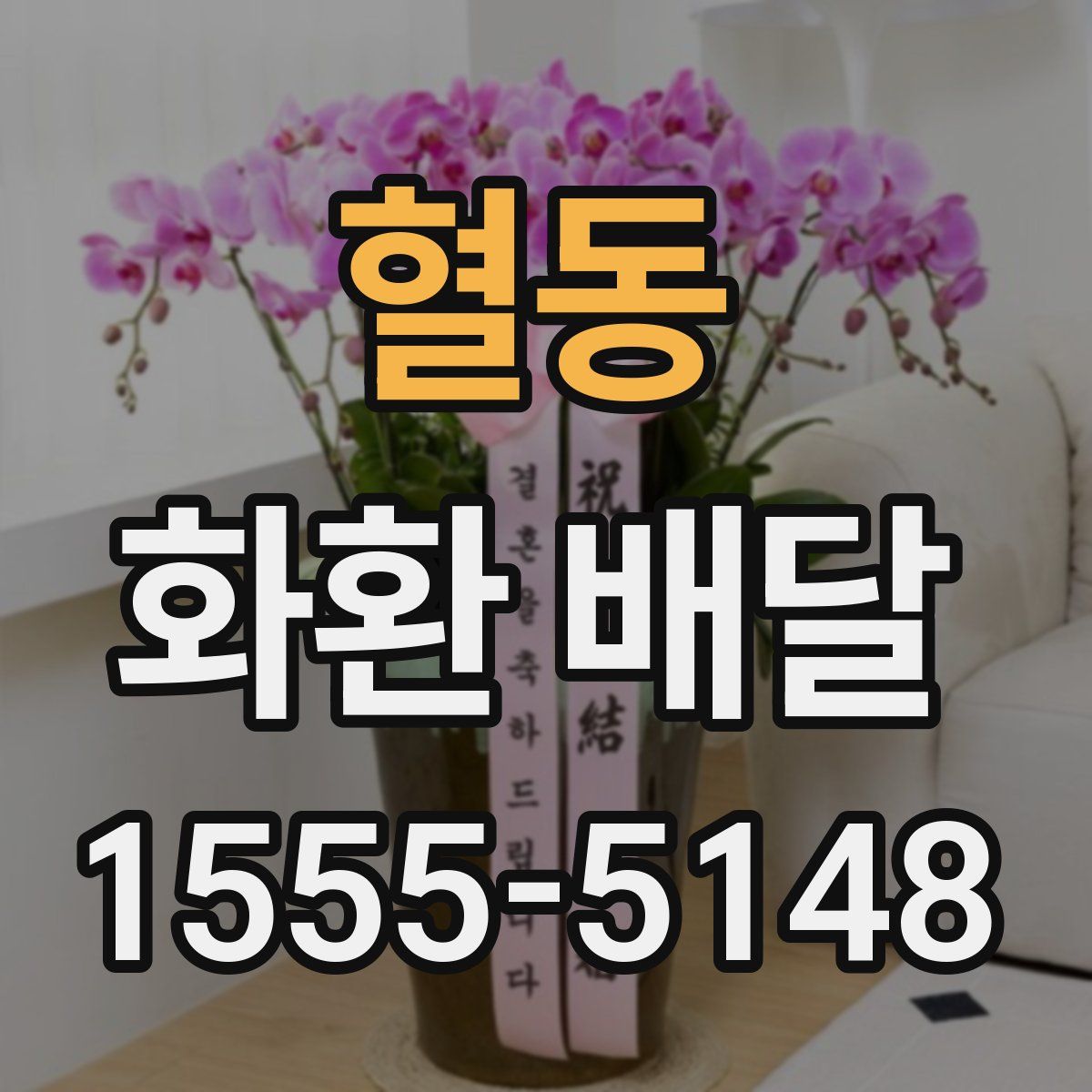 혈동 화환 배달