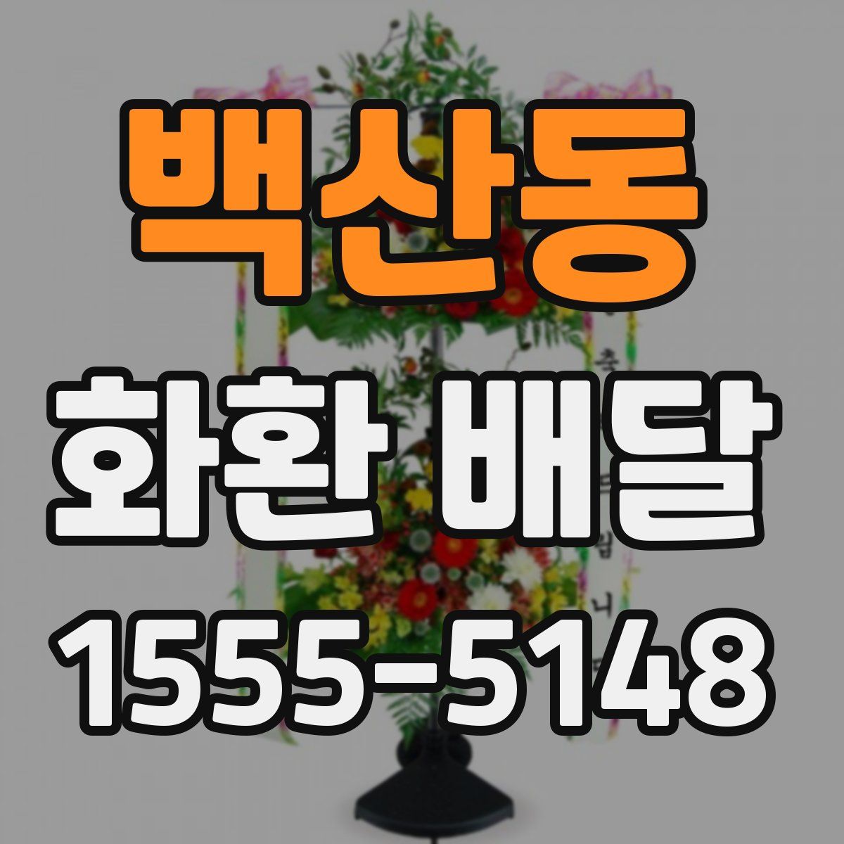 백산동 화환 배달