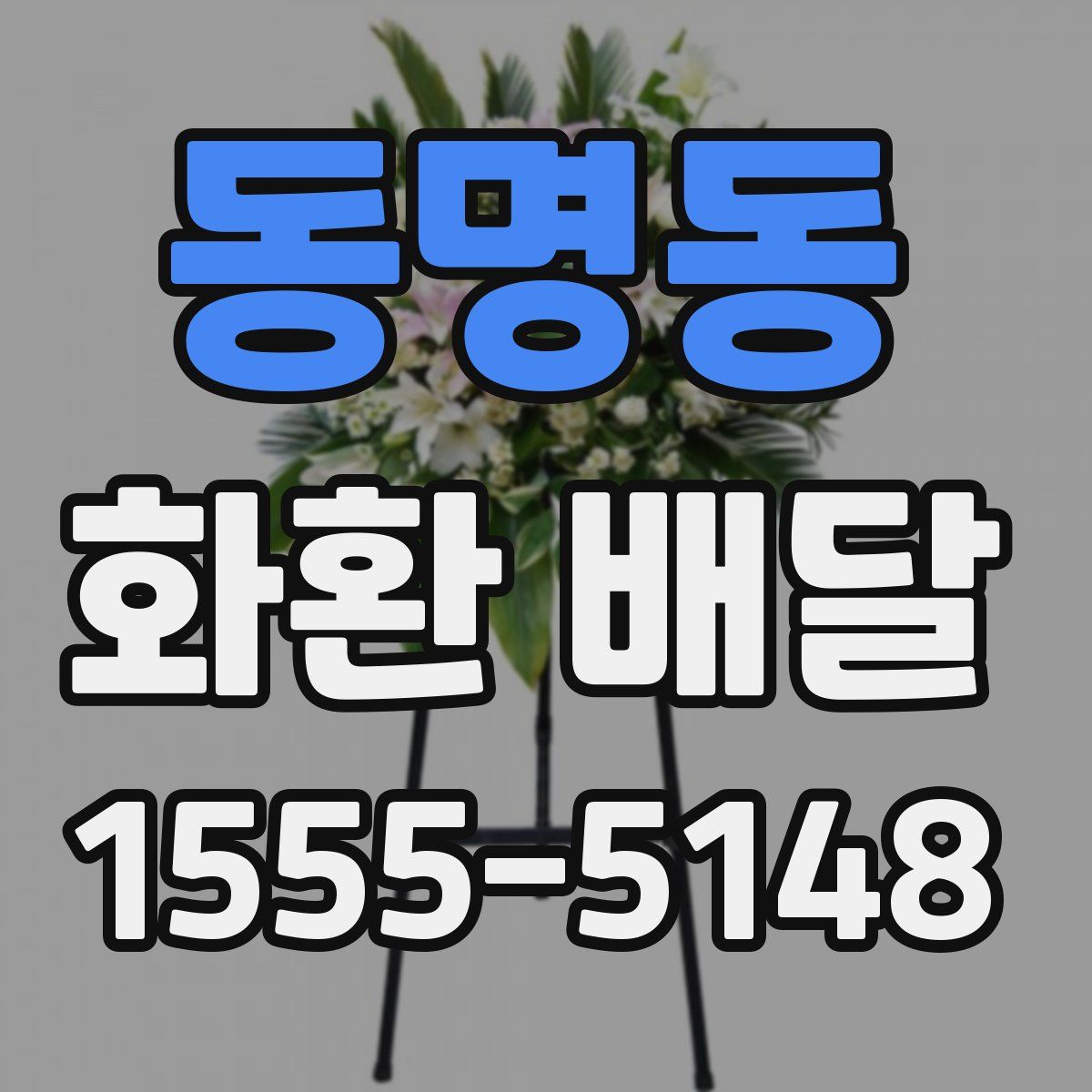 동명동 화환 배달