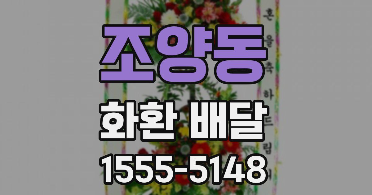 조양동 화환 배달