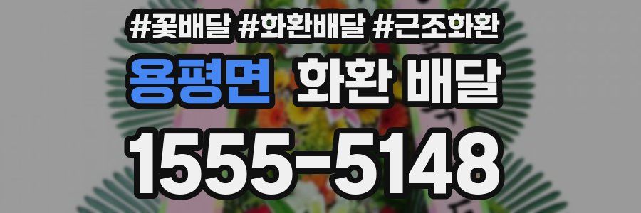용평면 화환 배달