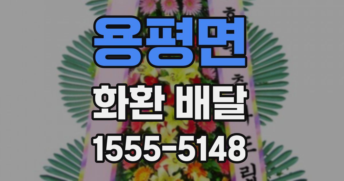 용평면 화환 배달