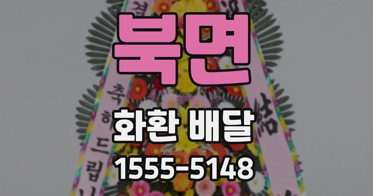 북면 화환 배달