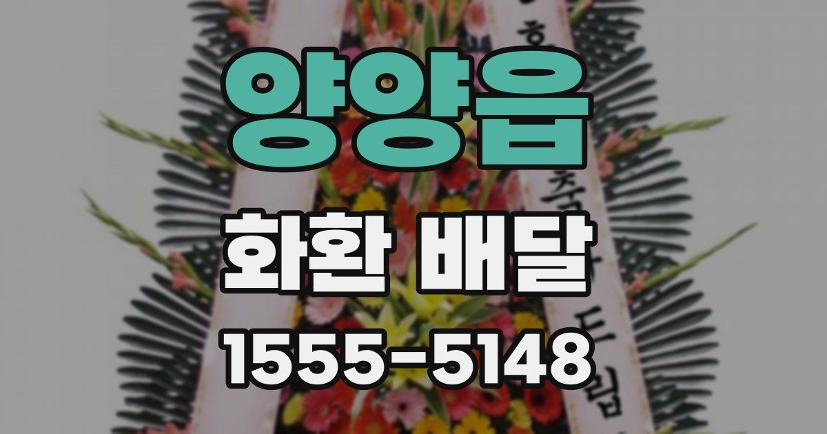 양양읍 화환 배달