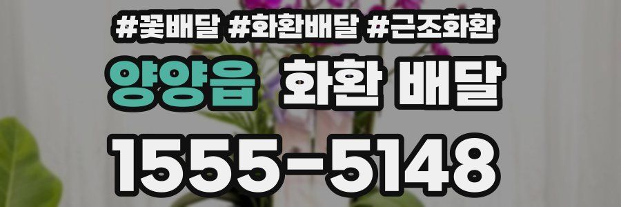 양양읍 화환 배달